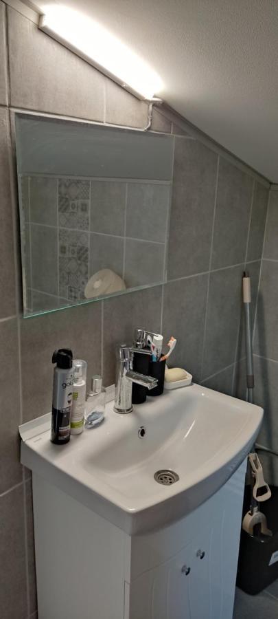 Apartament Мансардна Никол Widyń Zewnętrze zdjęcie